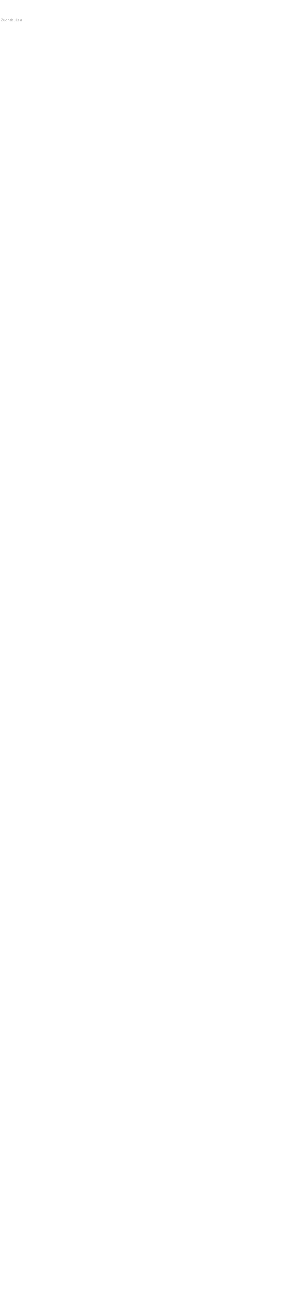 Textfeld: Zuchtbullen